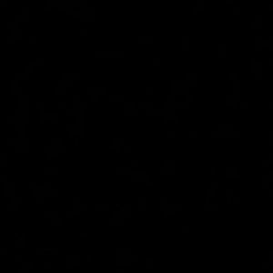 Meet your Posher, Fatima